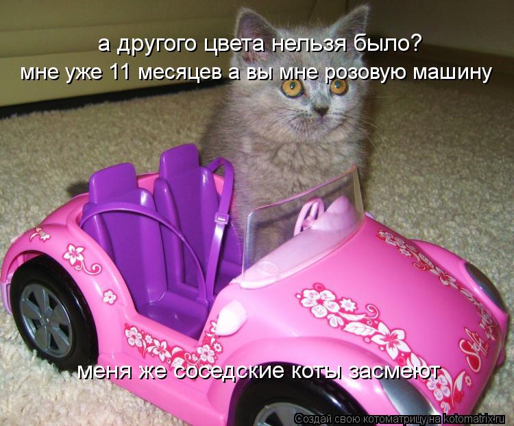 Котоматрица: а другого цвета нельзя было? мне уже 11 месяцев а вы мне розовую машину меня же соседские коты засмеют