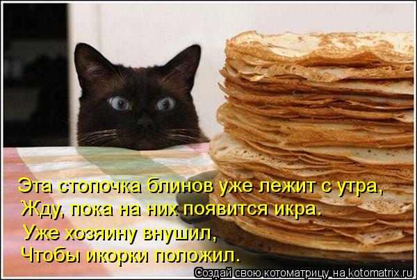 Котоматрица: Эта стопочка блинов уже лежит с утра, Жду, пока на них появится икра. Уже хозяину внушил, Чтобы икорки положил.