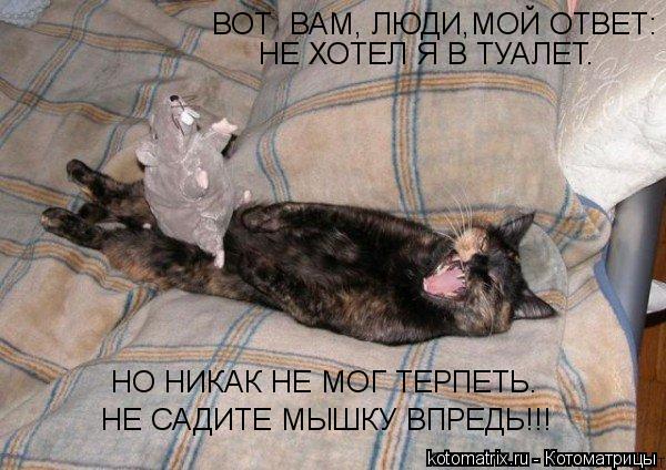 Котоматрица: ВОТ  ВАМ, ЛЮДИ,МОЙ ОТВЕТ: НЕ ХОТЕЛ Я В ТУАЛЕТ. НО НИКАК НЕ МОГ ТЕРПЕТЬ. НЕ САДИТЕ МЫШКУ ВПРЕДЬ!!!