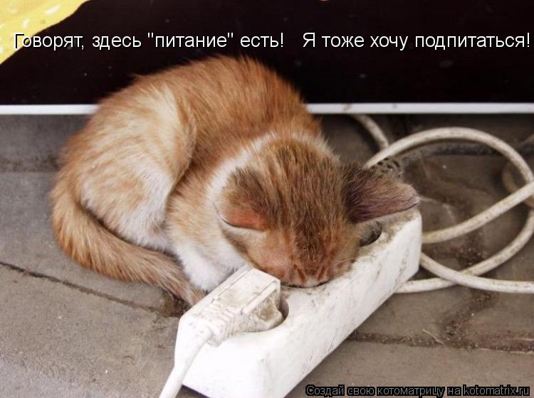 Говорят, здесь "питание" есть! Я тоже хочу подпитаться!... Котоматрица: Говорят, здесь "питание" есть! Я тоже хочу подпитаться!