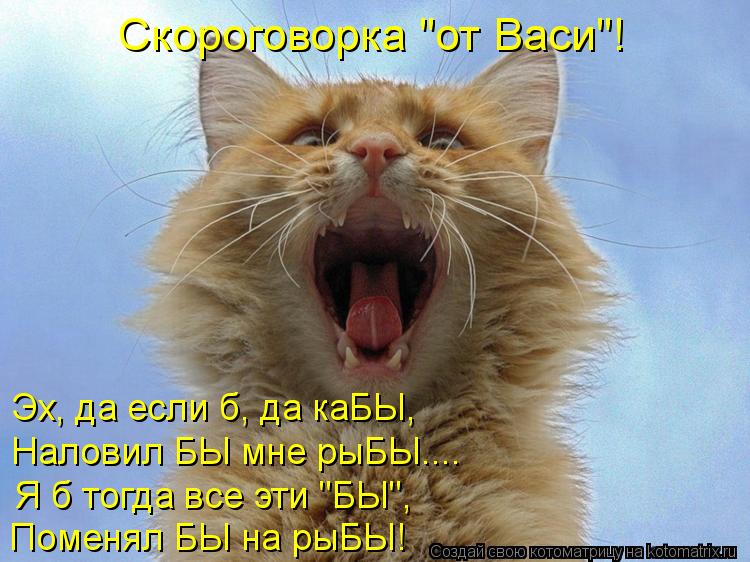 Скороговорка "от Васи"! Эх, да если б, да каБЫ, Я б тогда все эти "БЫ", Поменял БЫ на рыБЫ! Наловил Б... Котоматрица: Скороговорка "от Васи"! Эх, да если б, да каБЫ, Я б тогда все эти "БЫ", Поменял БЫ на рыБЫ! Наловил БЫ мне рыБЫ....