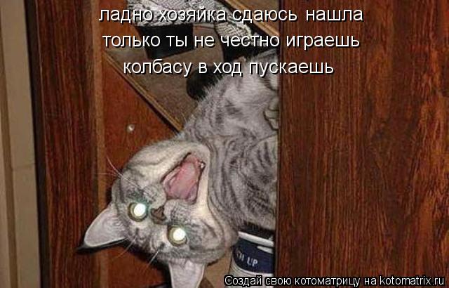 ладно хозяйка сдаюсь нашла только ты не честно играешь колбасу в ход пускаешь... Котоматрица: ладно хозяйка сдаюсь нашла только ты не честно играешь колбасу в ход пускаешь