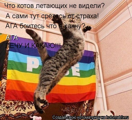 Что котов летающих не видели? А сами тут срётесь от страха! АГА боитесь что я какну? АГА ЛЕЧУ И КАКАЮ... Котоматрица: Что котов летающих не видели? А сами тут срётесь от страха! АГА боитесь что я какну? АГА ЛЕЧУ И КАКАЮ!!!