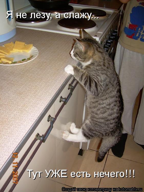 Я не лезу, а слажу... Тут УЖЕ есть нечего!!!... Котоматрица: Я не лезу, а слажу... Тут УЖЕ есть нечего!!!