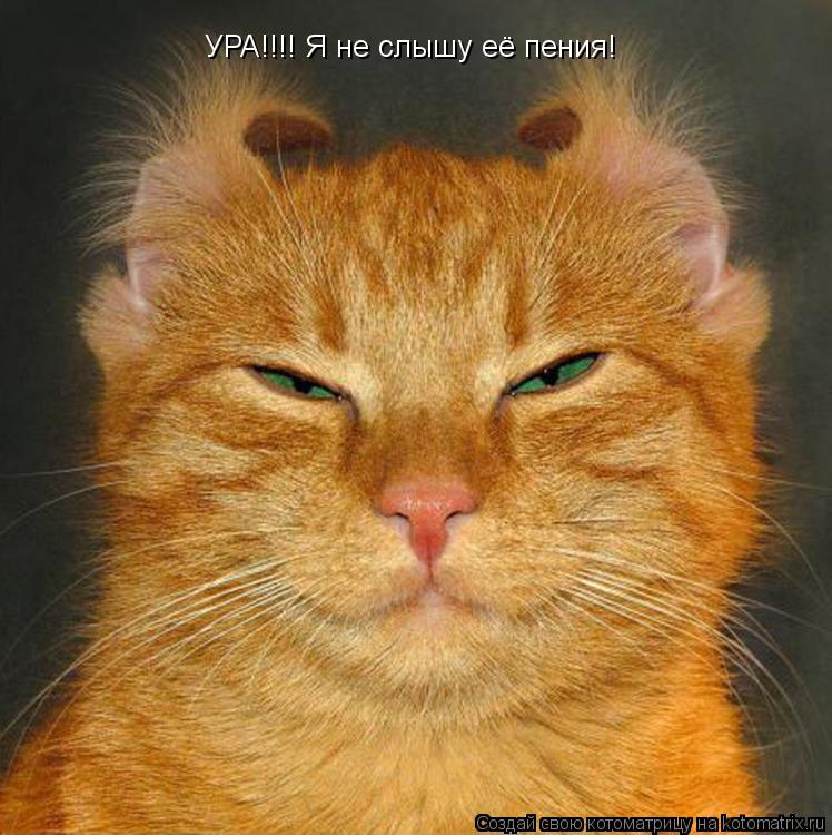 УРА!!!! Я не слышу её пения!... Котоматрица: УРА!!!! Я не слышу её пения!