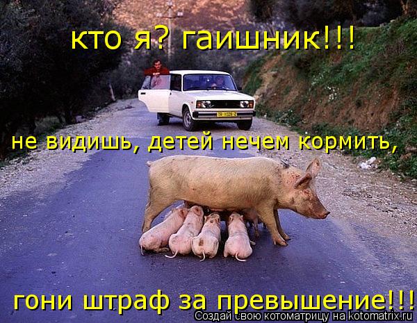 кто я? гаишник!!! не видишь, детей нечем кормить, гони штраф за превышение!!! кто я? гаишник!!! не в... Котоматрица: кто я? гаишник!!! не видишь, детей нечем кормить, гони штраф за превышение!!! кто я? гаишник!!! не видишь, детей нечем кормить, гони штраф за пре