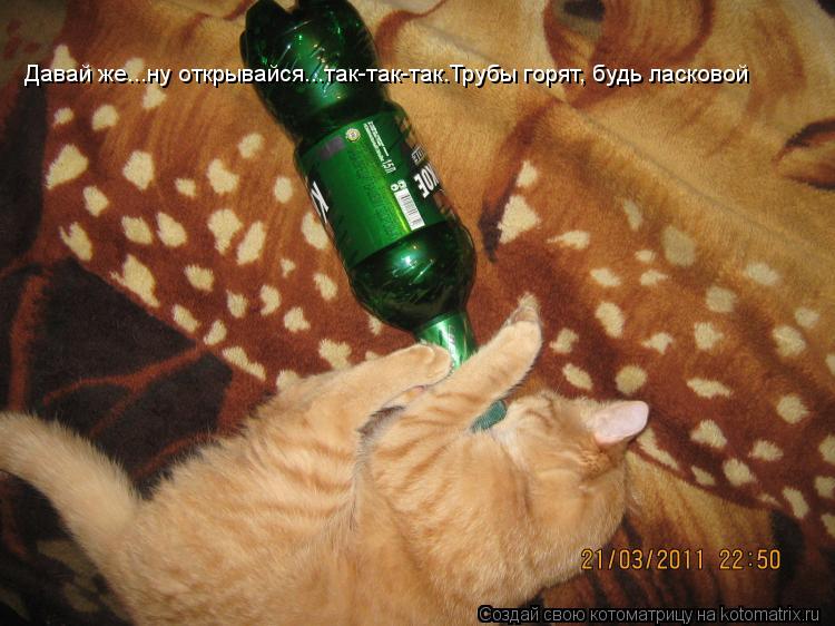 Давай же...ну открывайся...так-так-так.Трубы горят, будь ласковой... Котоматрица: Давай же...ну открывайся...так-так-так.Трубы горят, будь ласковой