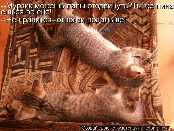 --Мурзик,можешь лапы отодвинуть?Ты же пина- ешься во сне! --Не нравится--отползи подальше!... Котоматрица: --Мурзик,можешь лапы отодвинуть?Ты же пина- ешься во сне! --Не нравится--отползи подальше!