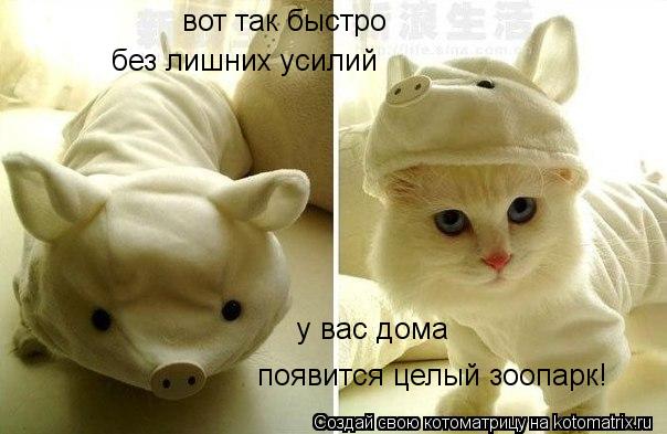 вот так быстро появится целый зоопарк! у вас дома без лишних усилий... Котоматрица: вот так быстро появится целый зоопарк! у вас дома без лишних усилий