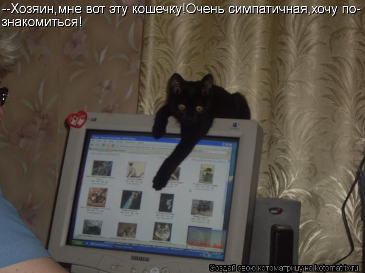 --Хозяин,мне вот эту кошечку!Очень симпатичная,хочу по- знакомиться!... Котоматрица: --Хозяин,мне вот эту кошечку!Очень симпатичная,хочу по- знакомиться!