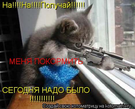 На!!!!На!!!!Получай!!!!!! МЕНЯ ПОКОРМИТЬ СЕГОДНЯ НАДО БЫЛО !!!!!!!!!!!... Котоматрица: На!!!!На!!!!Получай!!!!!! МЕНЯ ПОКОРМИТЬ СЕГОДНЯ НАДО БЫЛО !!!!!!!!!!!