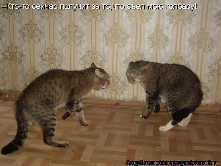 --Кто-то сейчас получит за то,что съел мою колбасу!... Котоматрица: --Кто-то сейчас получит за то,что съел мою колбасу!
