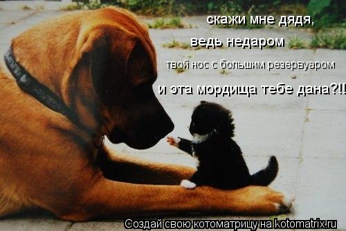 скажи мне дядя, ведь недаром и эта мордища тебе дана?!! твой нос с большим резервуаром... Котоматрица: скажи мне дядя, ведь недаром и эта мордища тебе дана?!! твой нос с большим резервуаром