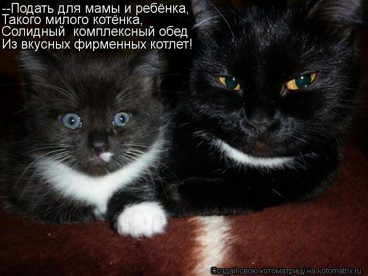 --Подать для мамы и ребёнка, Такого милого котёнка, Солидный комплексный обед Из вкусных фирменных к... Котоматрица: --Подать для мамы и ребёнка, Такого милого котёнка, Солидный комплексный обед Из вкусных фирменных котлет!