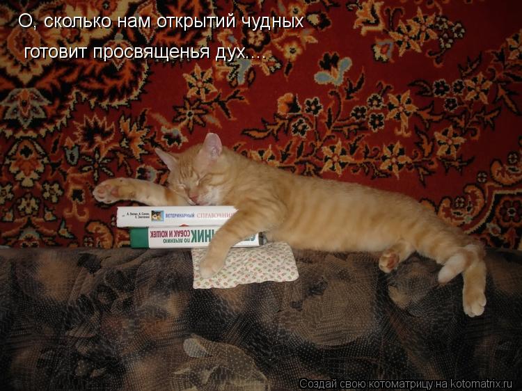 О, сколько нам открытий чудных готовит просвященья дух....... Котоматрица: О, сколько нам открытий чудных готовит просвященья дух....