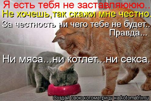 Я есть тебя не заставляююю.. Не хочешь,так скажи мне честно.. За честность ни чего тебе не будет... П... Котоматрица: Я есть тебя не заставляююю.. Не хочешь,так скажи мне честно.. За честность ни чего тебе не будет... Правда... Ни мяса...ни котлет...ни секса..