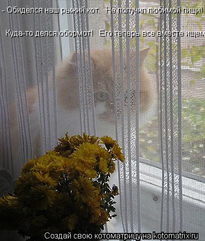 - Обиделся наш рыжий кот. Не получил любимой пищи! Куда-то делся обормот! Его теперь все вместе... Котоматрица: - Обиделся наш рыжий кот. Не получил любимой пищи! Куда-то делся обормот! Его теперь все вместе ищем... Куда-то делся обормот! Его теперь