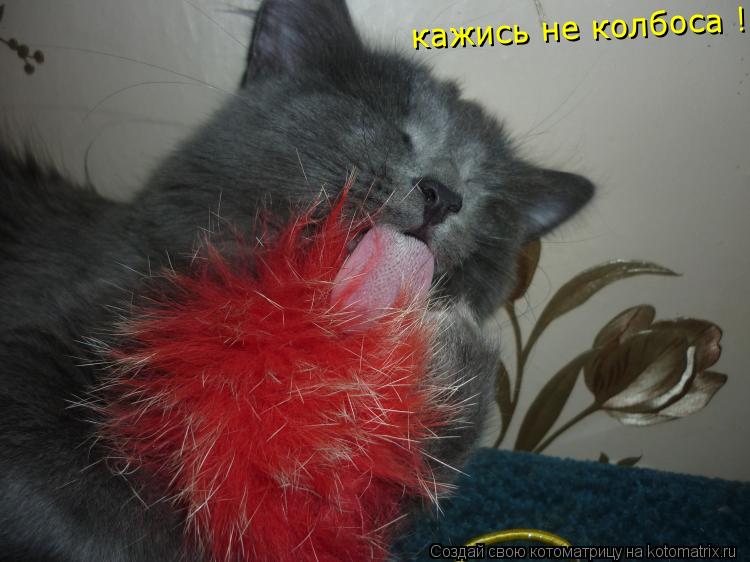 кажись не колбоса !... Котоматрица: кажись не колбоса !