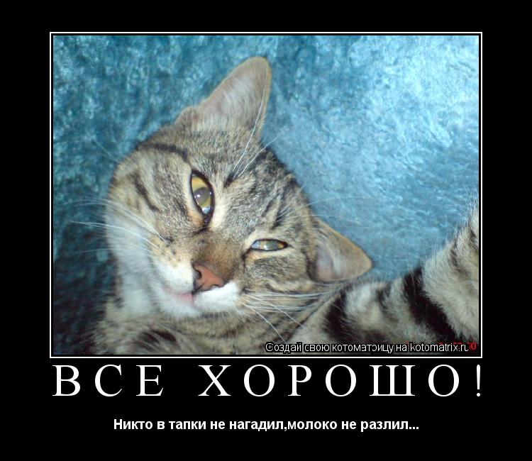Всё хорошо! Никто в тапки не нагадил,молоко не разлил...... Котоматрица: Всё хорошо! Никто в тапки не нагадил,молоко не разлил...