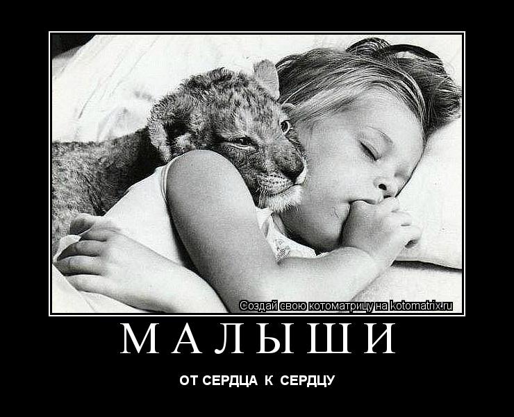 Котоматрица: МАЛЫШИ ОТ СЕРДЦА  К  СЕРДЦУ