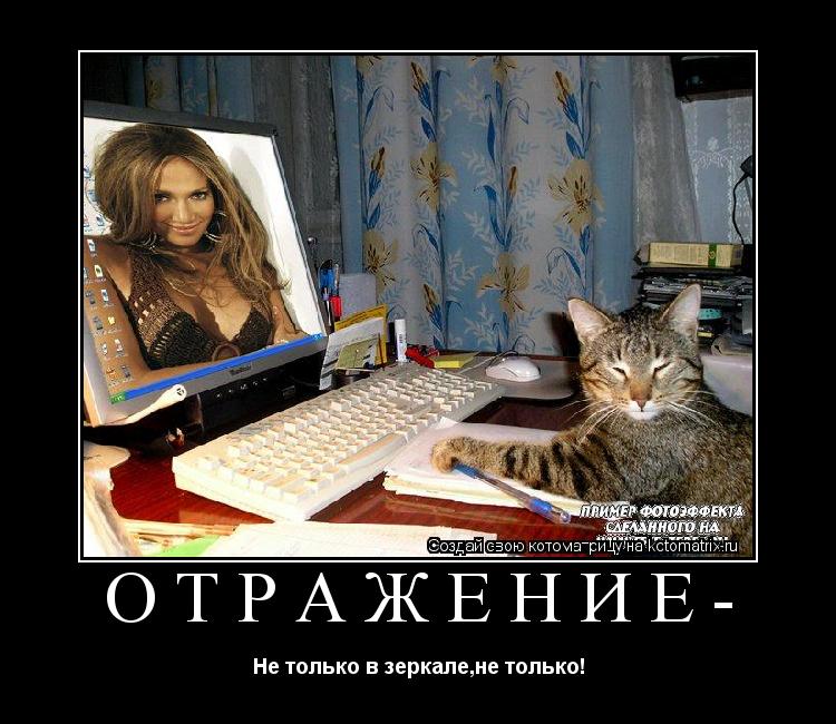 Отражение- Не только в зеркале,не только!... Котоматрица: Отражение- Не только в зеркале,не только!