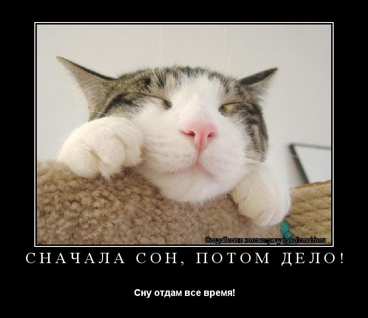 Сначала сон, потом дело! Сну отдам все время!... Котоматрица: Сначала сон, потом дело! Сну отдам все время!