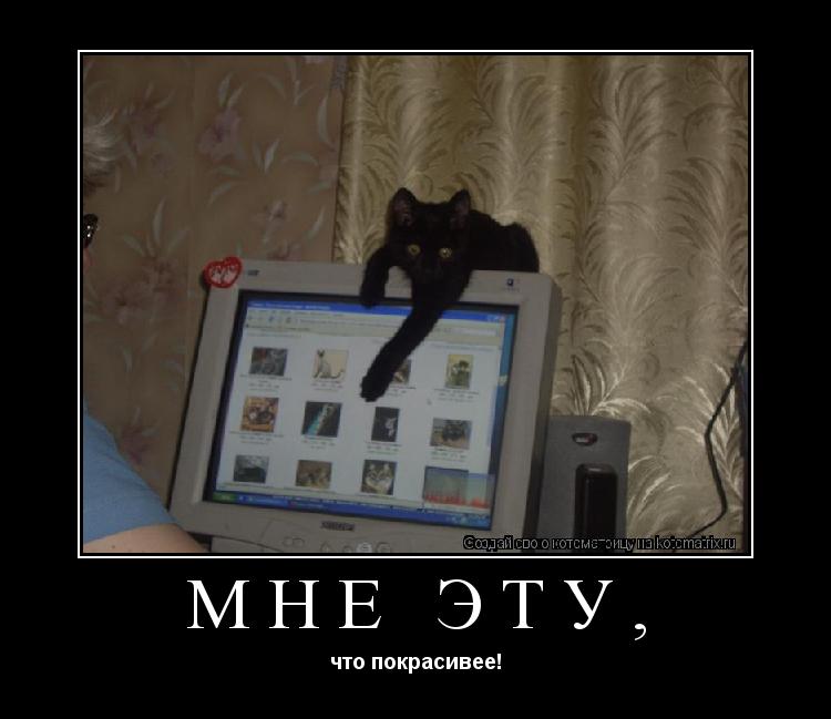 Мне эту, что покрасивее!... Котоматрица: Мне эту, что покрасивее!