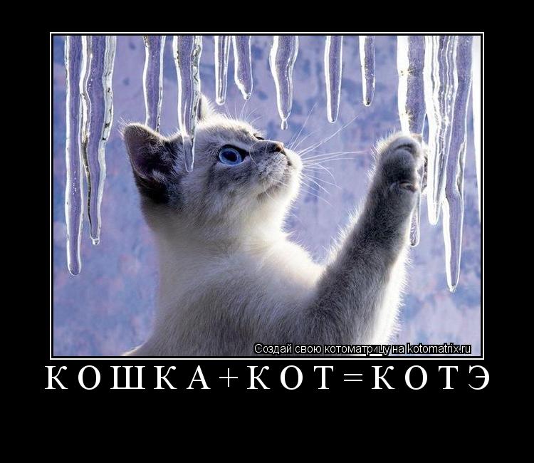 Кошка+кот=КОТэ ... Котоматрица: Кошка+кот=КОТэ