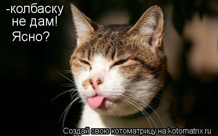 -колбаску не дам! Ясно?... Котоматрица: -колбаску не дам! Ясно?