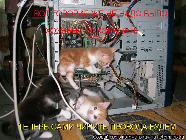 ВОТ ГОВОРИЛ ЖЕ НЕ НАДО БЫЛО ХОЗЯЕНА ОСКОРБЛЯТЬ ТЕПЕРЬ САМИ ЧИНИТЬ ПРОВОДА БУДЕМ... Котоматрица: ВОТ ГОВОРИЛ ЖЕ НЕ НАДО БЫЛО ХОЗЯЕНА ОСКОРБЛЯТЬ ТЕПЕРЬ САМИ ЧИНИТЬ ПРОВОДА БУДЕМ