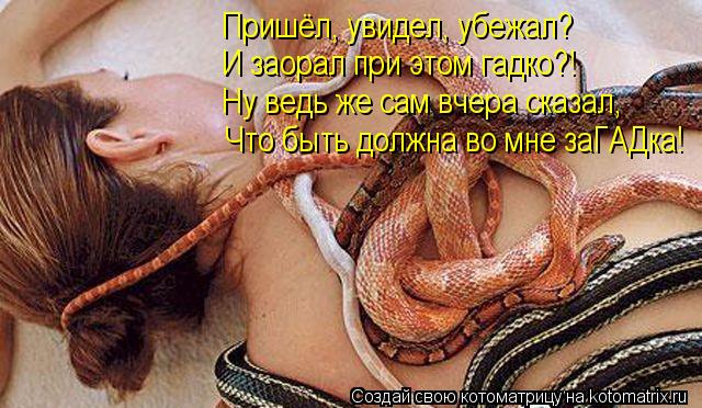 Пришёл, увидел, убежал? И заорал при этом гадко?! Ну ведь же сам вчера сказал, Что быть должна во мне... Котоматрица: Пришёл, увидел, убежал? И заорал при этом гадко?! Ну ведь же сам вчера сказал, Что быть должна во мне заГАДка!