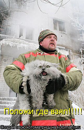 Положи где взял!!!!!... Котоматрица: Положи где взял!!!!!