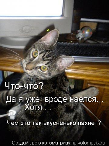 Что-что? Да я уже вроде наелся... Хотя.... Чем это так вкусненько пахнет?... Котоматрица: Что-что? Да я уже вроде наелся... Хотя.... Чем это так вкусненько пахнет?