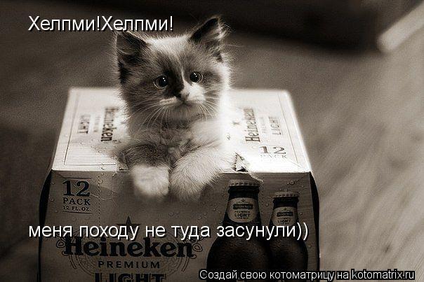Хелпми!Хелпми! меня походу не туда засунули))... Котоматрица: Хелпми!Хелпми! меня походу не туда засунули))