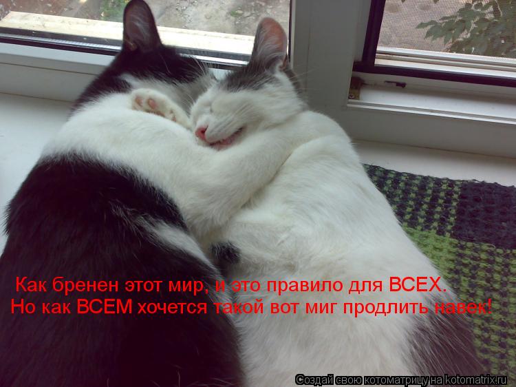Как бренен этот мир, и это правило для ВСЕХ. Но как ВСЕМ хочется такой вот миг продлить навек!... Котоматрица: Как бренен этот мир, и это правило для ВСЕХ. Но как ВСЕМ хочется такой вот миг продлить навек!