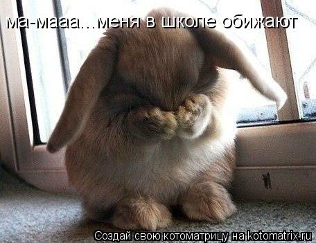ма-мааа...меня в школе обижают... Котоматрица: ма-мааа...меня в школе обижают