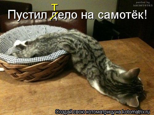 Пустил дело на самотёк! --- т... Котоматрица: Пустил дело на самотёк! --- т