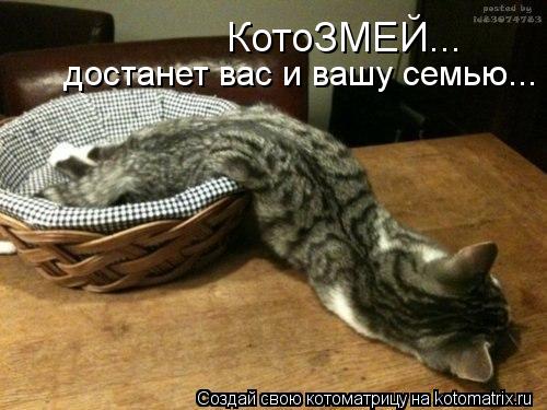 КотоЗМЕЙ... достанет вас и вашу семью...... Котоматрица: КотоЗМЕЙ... достанет вас и вашу семью...