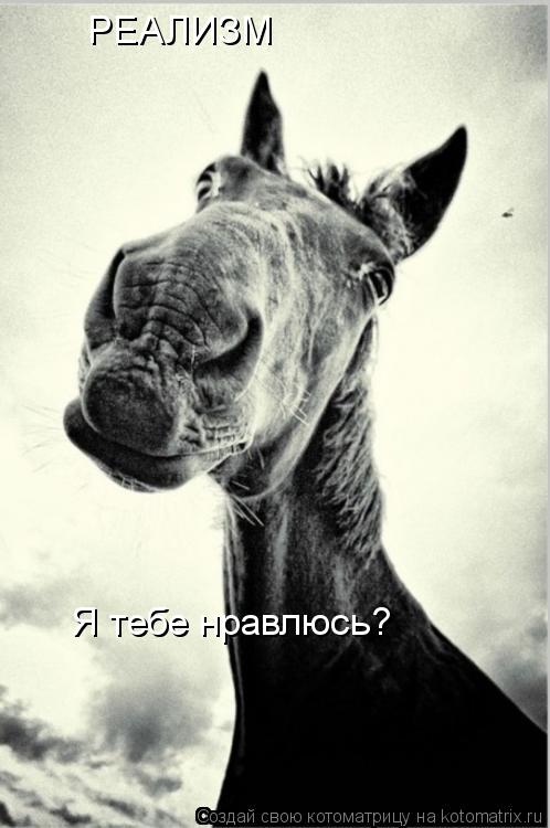 РЕАЛИЗМ Я тебе нравлюсь?... Котоматрица: РЕАЛИЗМ Я тебе нравлюсь?