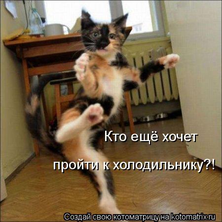 Кто ещё хочет пройти к холодильнику?!... Котоматрица: Кто ещё хочет пройти к холодильнику?!