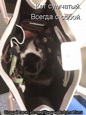 Кот сумчатый. Всегда с собой.... Котоматрица: Кот сумчатый. Всегда с собой.