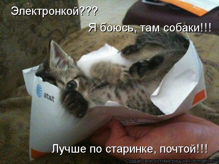 Электронкой??? Я боюсь, там собаки!!! Лучше по старинке, почтой!!!... Котоматрица: Электронкой??? Я боюсь, там собаки!!! Лучше по старинке, почтой!!!
