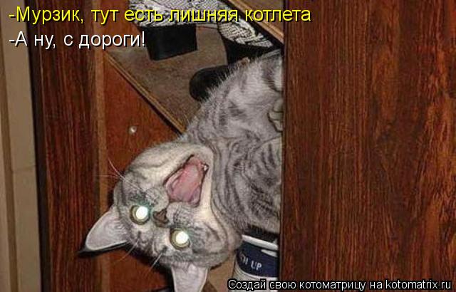 -Мурзик, тут есть лишняя котлета -А ну, с дороги!... Котоматрица: -Мурзик, тут есть лишняя котлета -А ну, с дороги!
