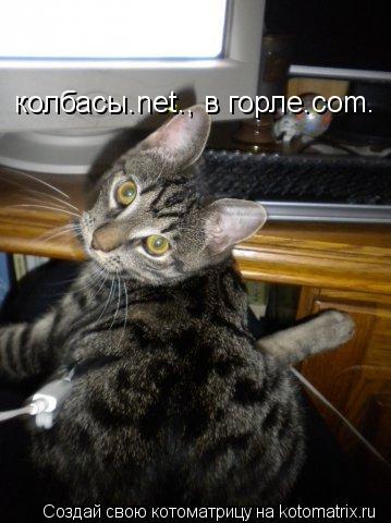 колбасы.net., в горле.com.... Котоматрица: колбасы.net., в горле.com.