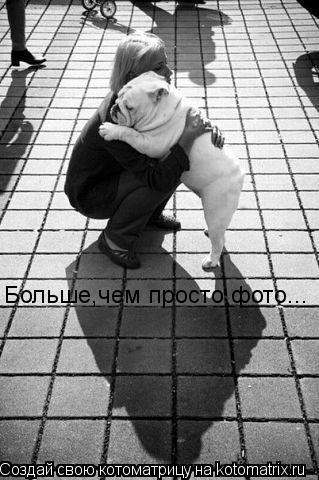 Больше,чем просто фото...... Котоматрица: Больше,чем просто фото...