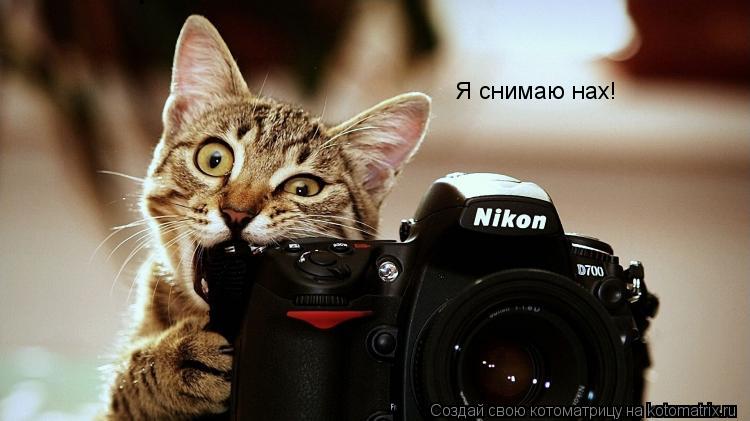 Я снимаю нах!... Котоматрица: Я снимаю нах!