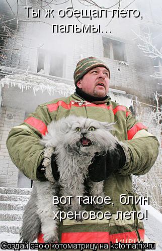 Ты ж обещал лето, пальмы... вот такое, блин хреновое лето!... Котоматрица: Ты ж обещал лето, пальмы... вот такое, блин хреновое лето!