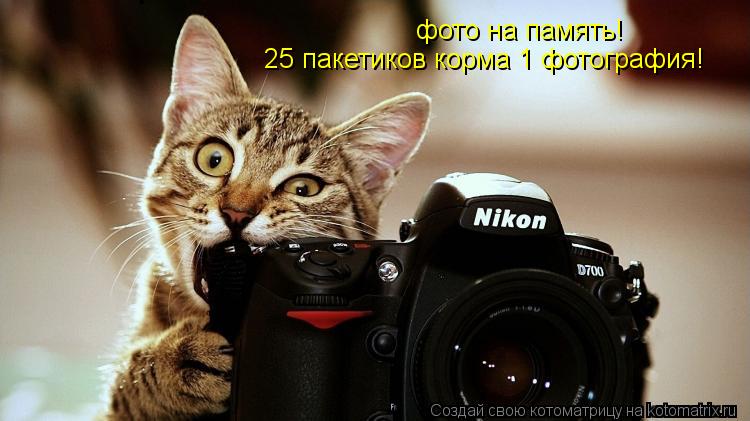 фото на память! 25 пакетиков корма 1 фотография!... Котоматрица: фото на память! 25 пакетиков корма 1 фотография!