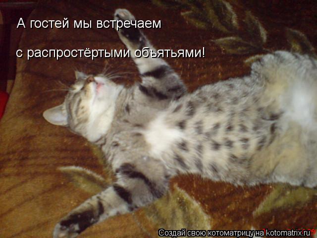 с распростёртыми объятьями! А гостей мы встречаем... Котоматрица: с распростёртыми объятьями! А гостей мы встречаем