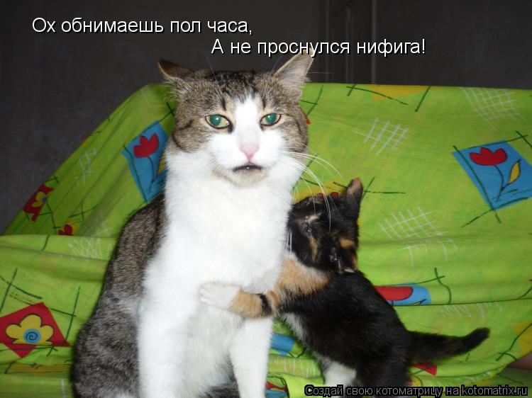 Ох обнимаешь пол часа, А не проснулся нифига!... Котоматрица: Ох обнимаешь пол часа, А не проснулся нифига!